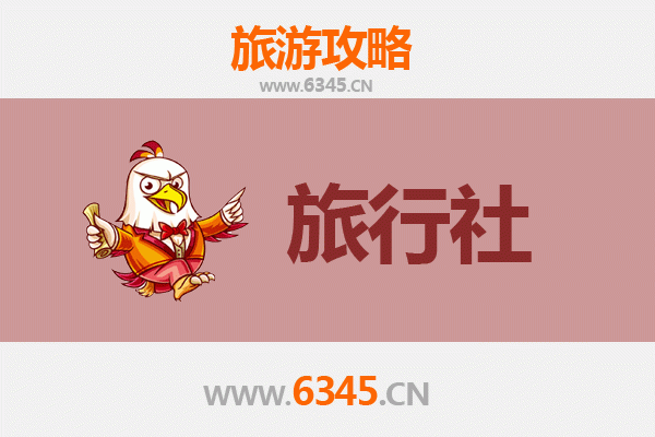 文昌国营南阳农场旅游全攻略：本地旅行社推荐与深度体验指南